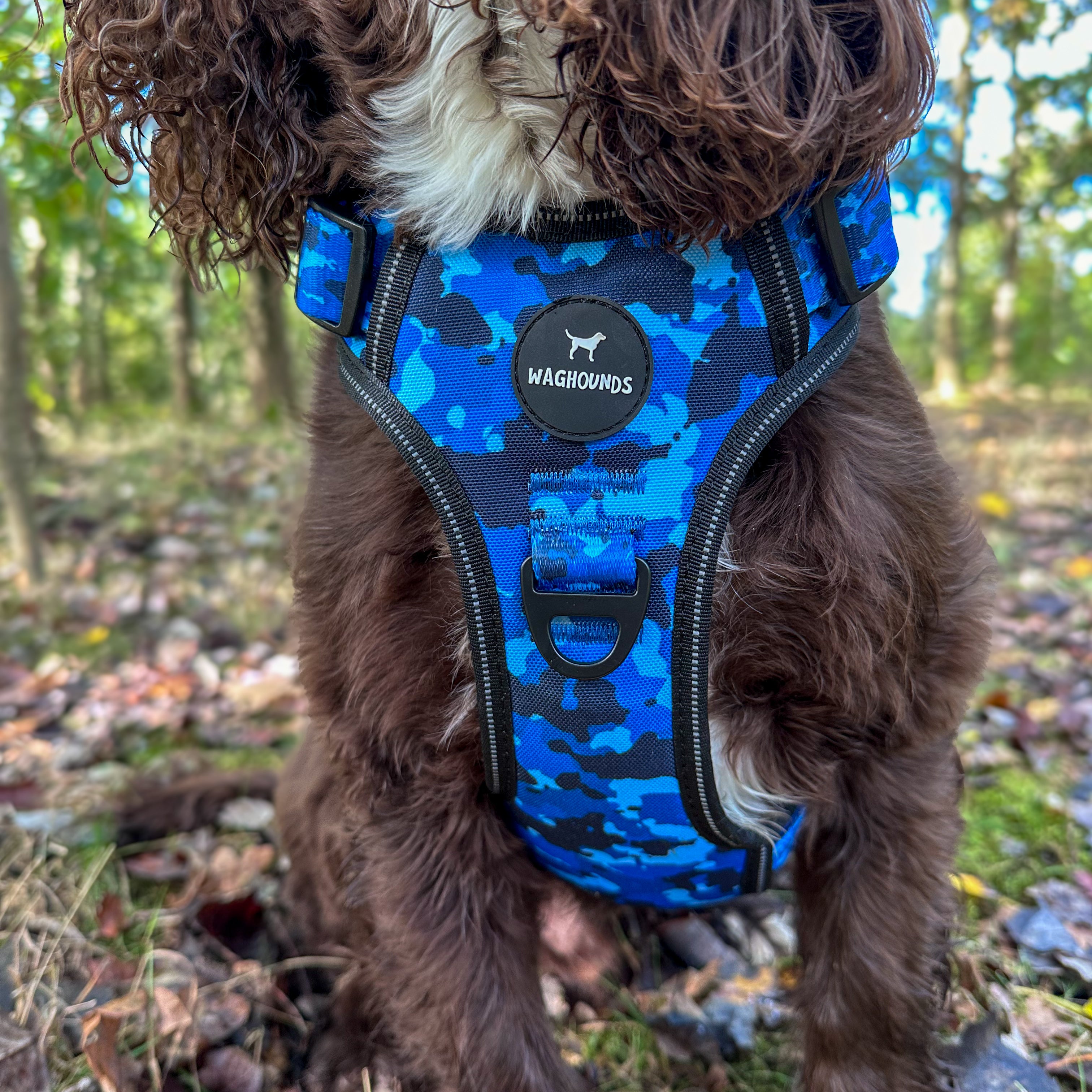 Shop CAMO CONTROL HARNESS For Dogs Buy Now Online Waghounds