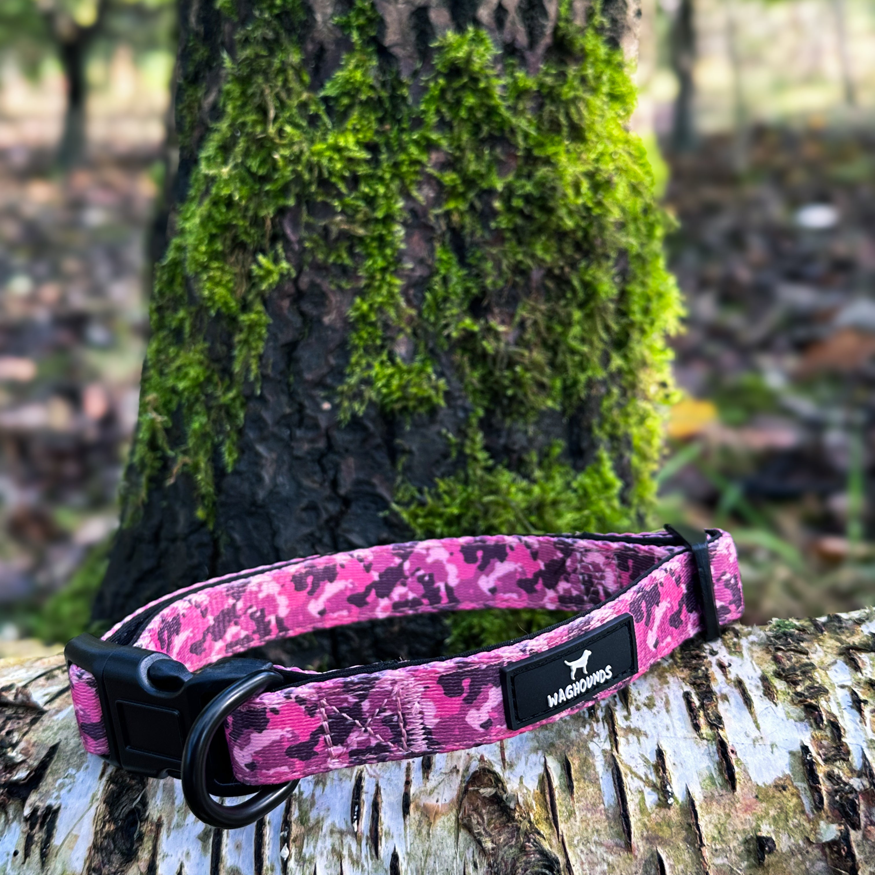 Muddy girl camo dog collar hotsell