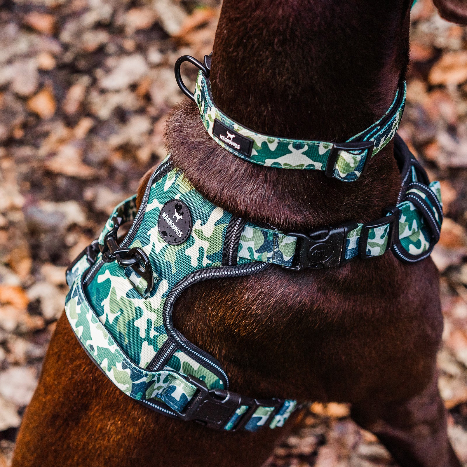 Camo harness best sale