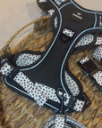 Control Dog Harness - Dotty